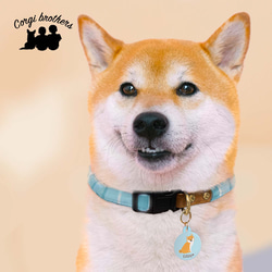 【 柴犬 毛色3色 】 パステル色 名入り 迷子札　ドッグタグ　ペット　うちの子　プレゼント　犬 8枚目の画像