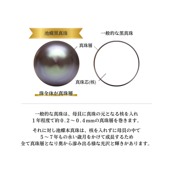 【小ぶり●職人のこだわり】鑑別書付｜池蝶黒真珠ネックレスセット｜7-8mm｜ブラックパール 7枚目の画像