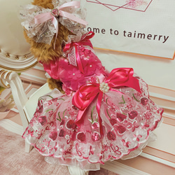 犬猫うさちゃん服　限定3着　ネオンピンク色の鮮やかな春ドレス 2枚目の画像