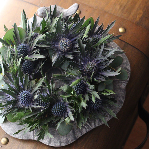 ドライフラワー☆グリーンの爽やかリース☆エリンジューム癒し