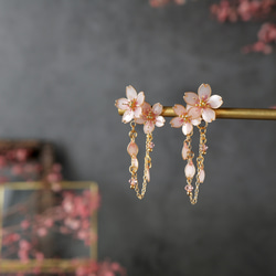 咲き満ちる零れ桜 / 季節限定 3枚目の画像