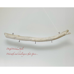 流木インテリア 白くて太い曲線を描く天然流木のハンガーフック 流木ハンガー ハンギング ウォールデコ 北欧 No.186 5枚目の画像
