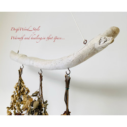 流木インテリア 白くて太い曲線を描く天然流木のハンガーフック 流木ハンガー ハンギング ウォールデコ 北欧 No.186 4枚目の画像