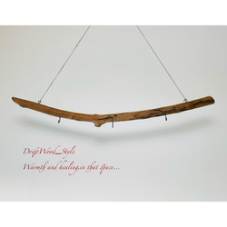 流木インテリア 緩やかな曲線を描く天然流木のハンガーフック 流木ハンガー ハンギング ウォールデコ 北欧 No.187 5枚目の画像