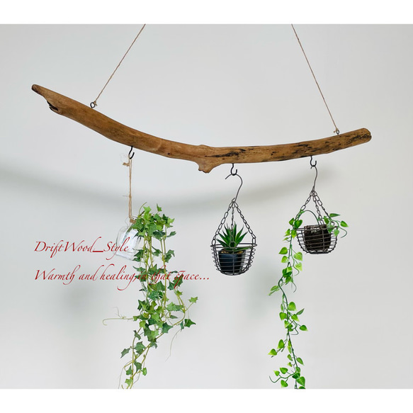 流木インテリア 緩やかな曲線を描く天然流木のハンガーフック 流木ハンガー ハンギング ウォールデコ 北欧 No.187 2枚目の画像