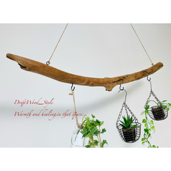 流木インテリア 緩やかな曲線を描く天然流木のハンガーフック 流木ハンガー ハンギング ウォールデコ 北欧 No.187 4枚目の画像
