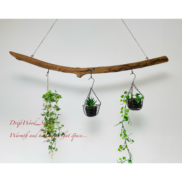 流木インテリア 緩やかな曲線を描く天然流木のハンガーフック 流木ハンガー ハンギング ウォールデコ 北欧 No.187 1枚目の画像