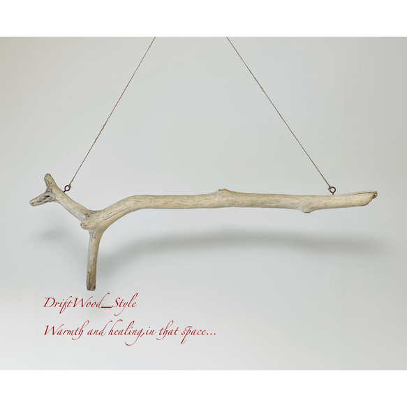 流木インテリア 鹿の角ような造形の天然流木のハンガーラック 北欧 衣装掛け ハンギング 吊り下げ エアプラント 癒し 6枚目の画像