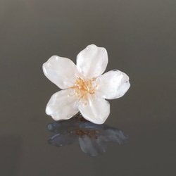 【No.2313】Everpink Sakura. 本物の桜のタックピン／ピンブローチ／コサージュ ソメイヨシノ 5枚目の画像