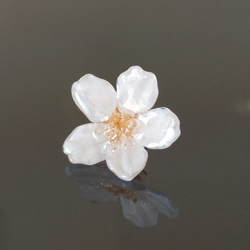 【No.2313】Everpink Sakura. 本物の桜のタックピン／ピンブローチ／コサージュ ソメイヨシノ 1枚目の画像