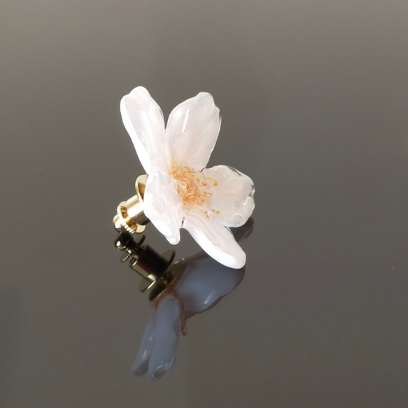 【No.2313】Everpink Sakura. 本物の桜のタックピン／ピンブローチ／コサージュ ソメイヨシノ 4枚目の画像