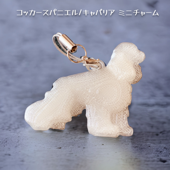 犬　ミニチャーム　キーホルダー 2枚目の画像