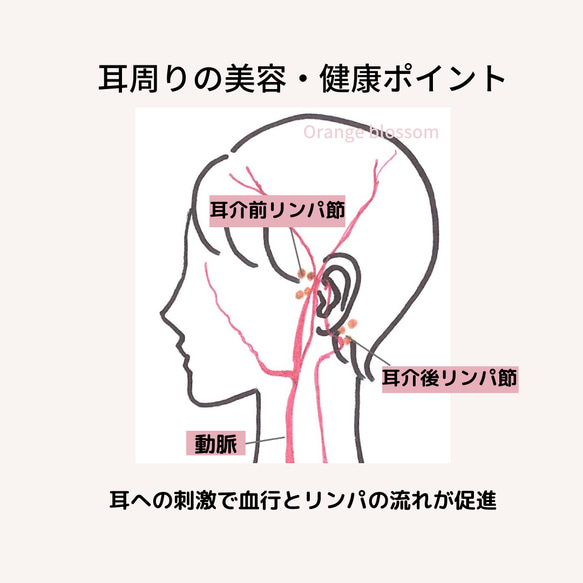 【ご購入前にお読みください】ワイヤーイヤーカフ  効果を上げる適正サイズの測り方と効果確認方法 3枚目の画像