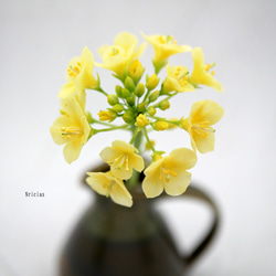 専用 スイートピー 菜の花 クレイフラワー 252623ccbd25615510b3916f170b86