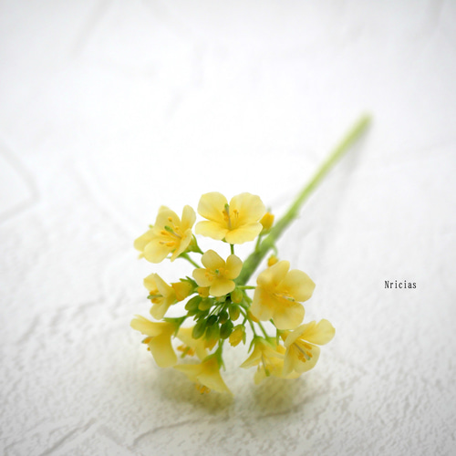 激安超特価 最大80%オフ  再販）枯れない 菜の花 ✿クレイフラワーNO.N2-1 アートフラワー フラワー・リース