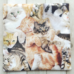 【一点物】USAコットンのふんわりコースター布製(リアル猫柄)『Creema限定』 4枚目の画像