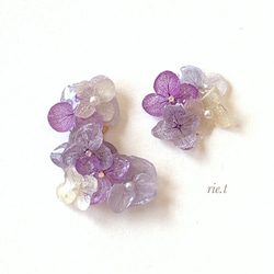 再販3【rie.t】ラベンダーカラーの紫陽花イヤーカフ 5枚目の画像