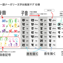 【デジインディア】マグ　ヒンディ母音子音_カラフル D068 6枚目の画像