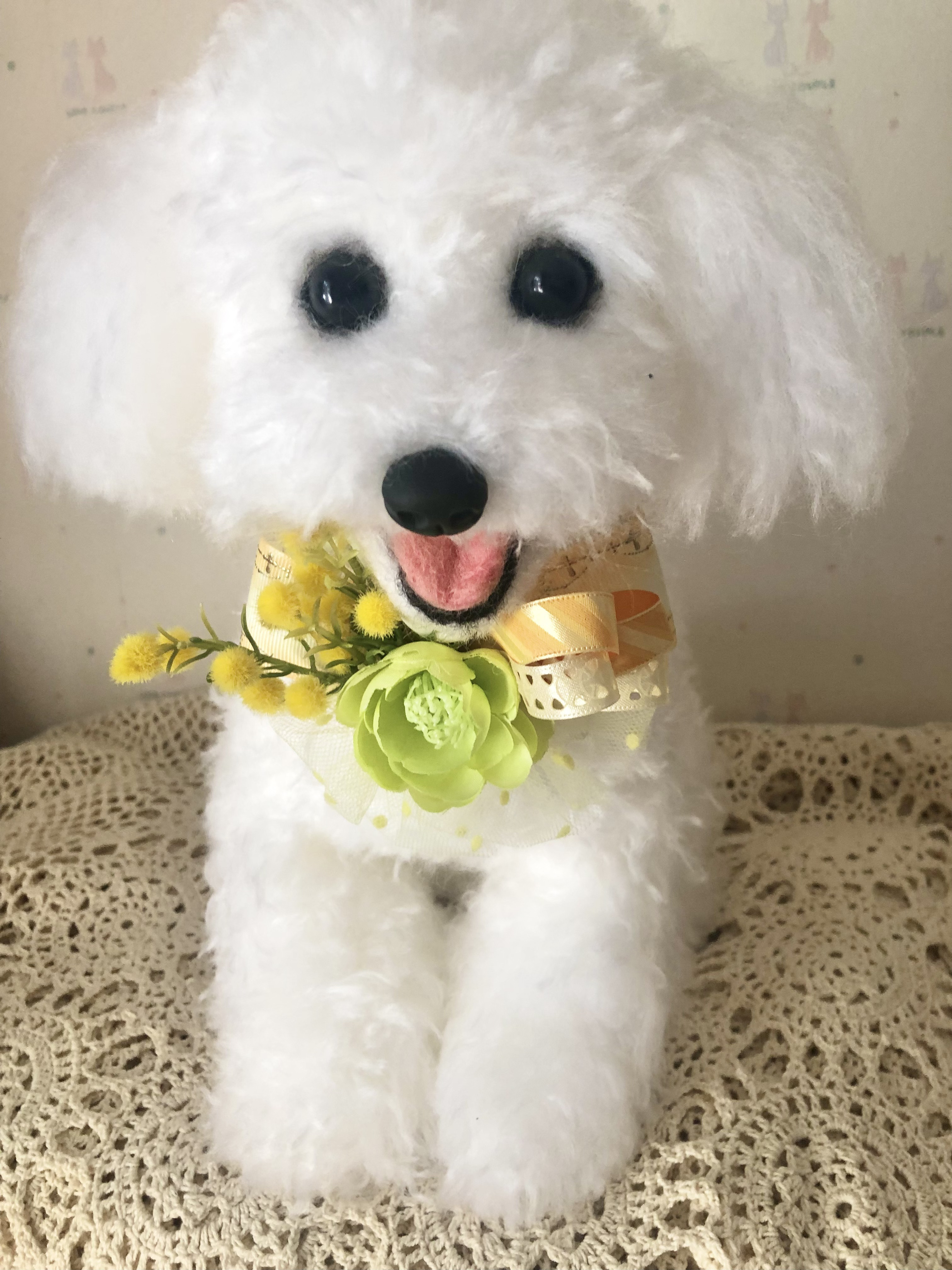 撮影用　ペットチョーカー　ミモザ　ヘッドドレス　ミモザチョーカー 犬お花チョーカー≪ミモザのチョーカー≫ 写真撮影 トリミング