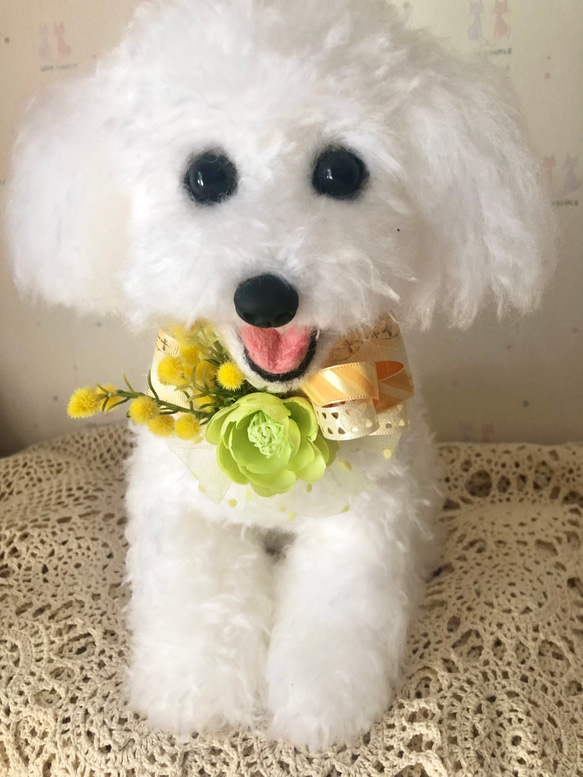 犬お花チョーカー ミモザ春 写真撮影 トリミング 首飾り 犬猫