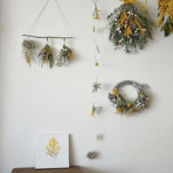 ミモザと北海道小花たちのハーフリース・くすみグレードライフラワーNO15 7枚目の画像