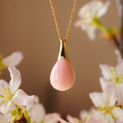 《 特集掲載品 》14kgf 桜の花びら ピンクコンクシェル・ロング・ネックレス（５０ｃｍ） 3枚目の画像
