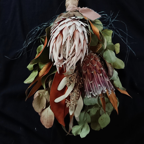 大きめ』ネイティブフラワー、キングプロテア・グランデとプロテア