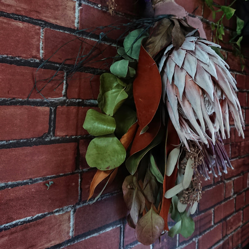 ドライフラワー★大輪プロテアネイティブスワッグ★一点物♪アンティーク♪ 大きめ』ネイティブフラワー、キングプロテア・グランデとプロテア