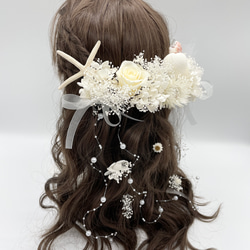 スターフィッシュ  髪飾り　ヘッドドレス　貝殻 1枚目の画像