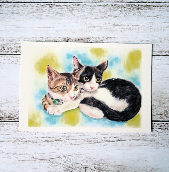ポストカード猫パステル画３枚セット　〈クロ＋子猫たち〉 4枚目の画像