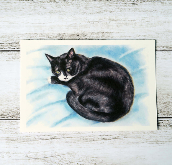 ポストカード猫パステル画３枚セット　〈クロ＋子猫たち〉 2枚目の画像