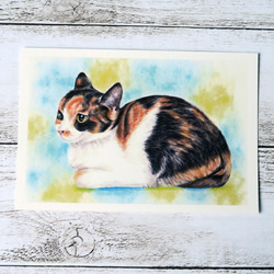 ポストカード猫パステル画３枚セット　〈クロ＋子猫たち〉 3枚目の画像
