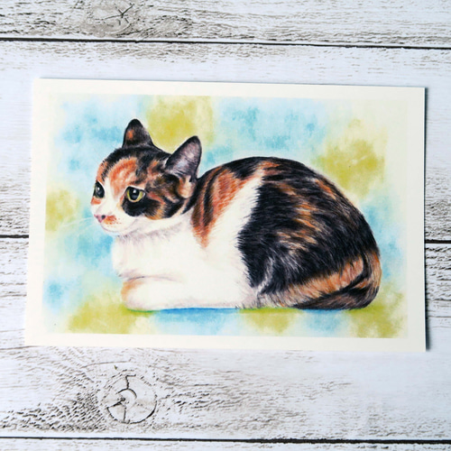 猫のパステル画（サイン入り） 0_7d61fa88fab4f705d624217ec649