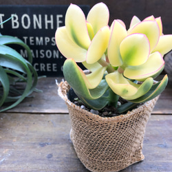 14a2112692885662457fbf320587d0