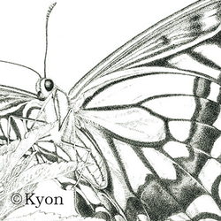 蝶　点描画　アゲハ　ポストカード 1枚目の画像