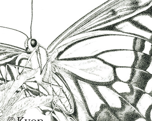 【2024春夏新色】 9de5913c7c7ad9e345ec90b5f6a2ec 絵画