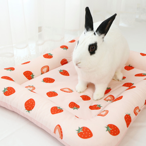 うさぎちゃんのふわふわベッド : いちご クッション・ベッド