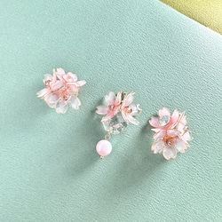 春爛漫 桜のピアス イヤリング イヤーカフ 両耳 12枚目の画像