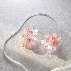 春爛漫 桜のピアス イヤリング イヤーカフ 両耳 16枚目の画像