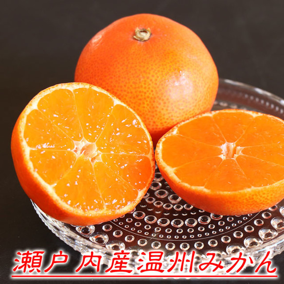 みかん ドライフルーツ 国産 温州 ミカン 合計約30g 香川県産 オレンジ 柑橘 乾燥 おつまみ 無添加 砂糖不使用 3枚目の画像