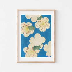 桜の版画 額装品 飯名京美 限定品 アーカイバルプリント さくら 流浪 和モダン Amazon.co.jp: 酒井抱一「桜に小禽図」複製画 額入り 色紙額
