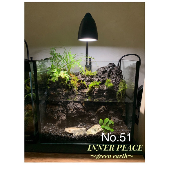 テラリウム　完成品　150　アクアテラリウム　イモリウム テラリウム 完成品 150 アクアテラリウム イモリウム テラリウム