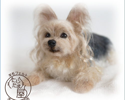 38様オーダー作品」 羊毛フェルト にじたま屋 メモリアルアート