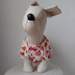 綿プリント生地を使った小型犬サイズラグランスリーブワンピース犬服とお揃いのベビー服（80サイズ）パフスリーブワンピース 3枚目の画像