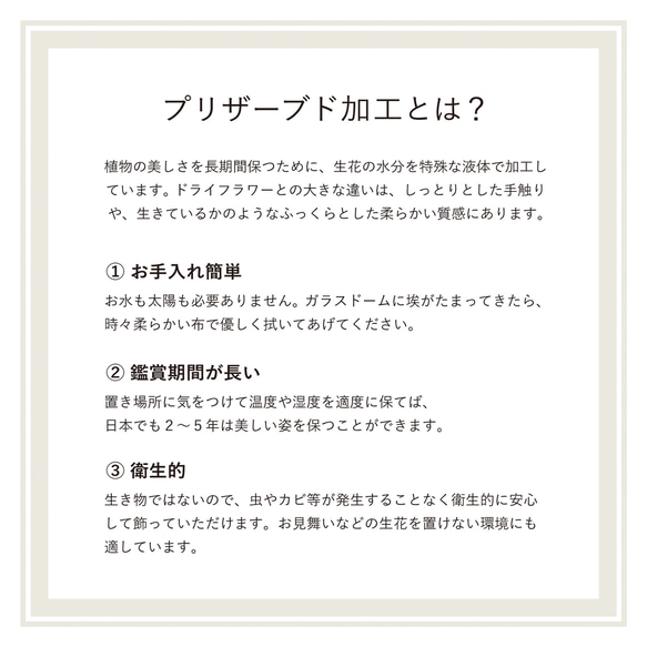 こちらの商品は「Tenorium」販売ページへ移行しました【リンクは作品紹介文まで】 10枚目の画像