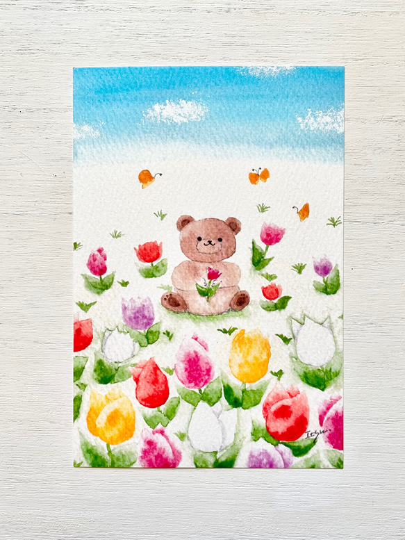 透明水彩画 3枚セット「チューリップ畑でひと休み」イラスト ポスト
