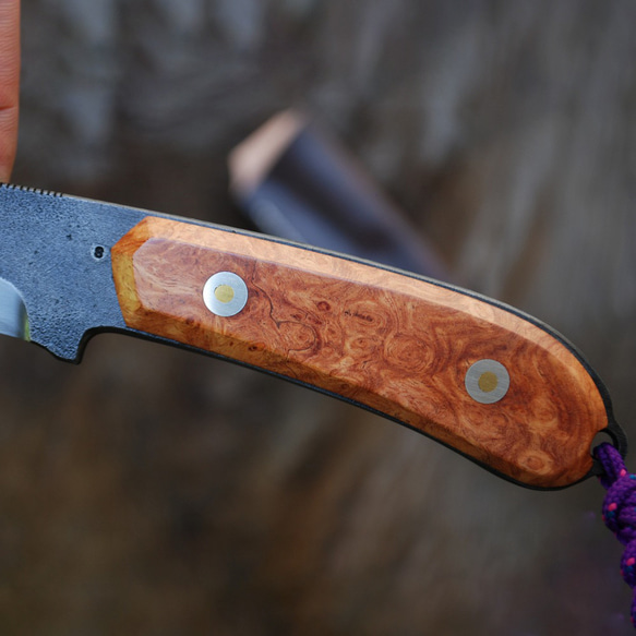 [預購] Tosa Tan Custom Hunter Skinner Karinkobu Full Tang 皮套天然油石飾面 第5張的照片