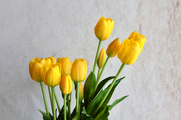 【リアルな触り心地】まるで生花のような瑞々しさ|春のチューリップ5本ブーケ|アーティフィシャルフラワー【イエロー】 5枚目の画像