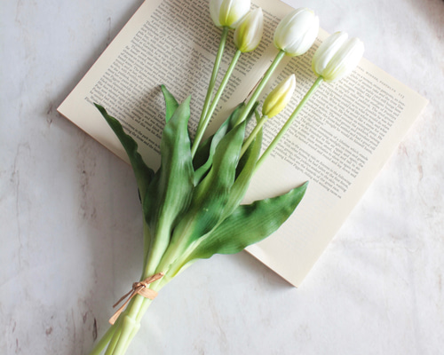 36d1fe66df4f1aa81b4f3617e74a03