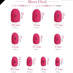 SORAネイルチップの計測用チップ 3枚目の画像